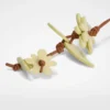 Blossom Charm