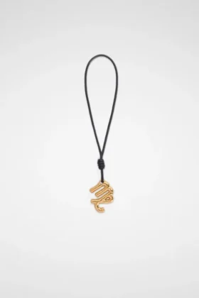 Zodiac Charm