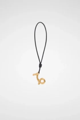 Zodiac Charm