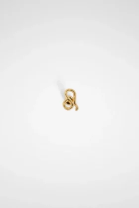 Zodiac Earring