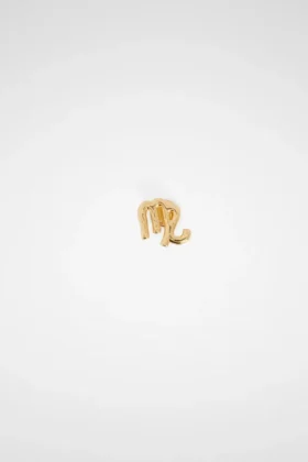 Zodiac Earring