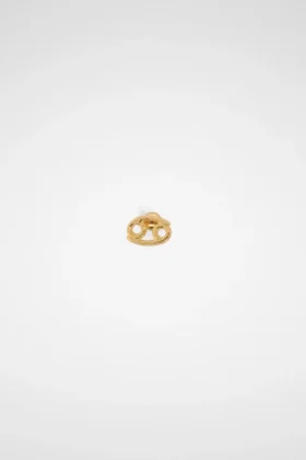 Zodiac Earring