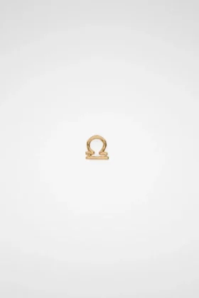 Zodiac Earring
