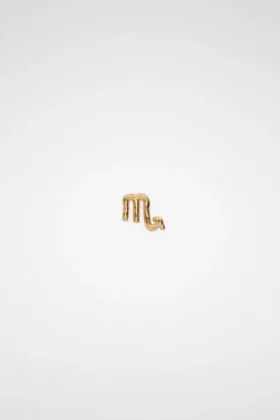 Zodiac Earring