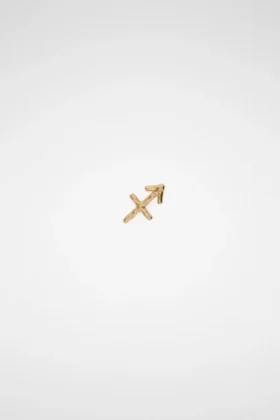 Zodiac Earring