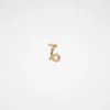 Zodiac Earring