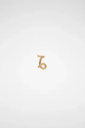 Zodiac Earring