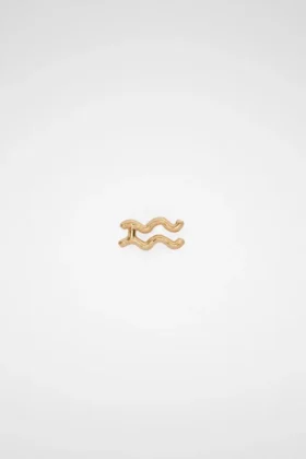 Zodiac Earring
