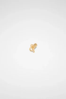 Zodiac Earring