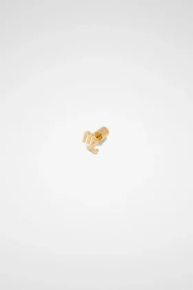 Zodiac Earring