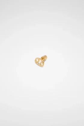 Zodiac Earring