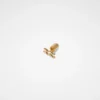 Zodiac Earring